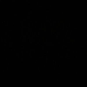 Meet your Posher, Marco